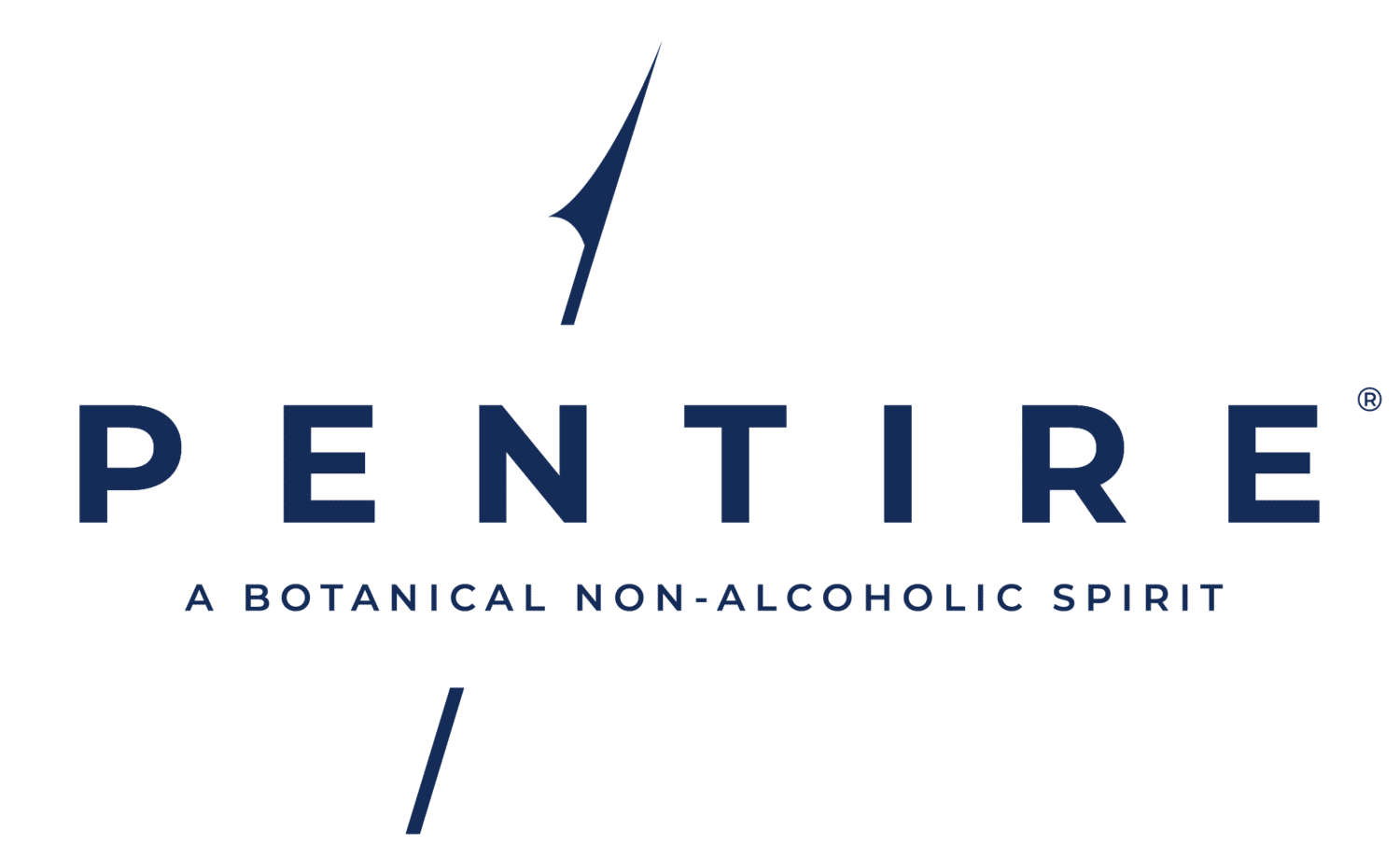Seaward logo